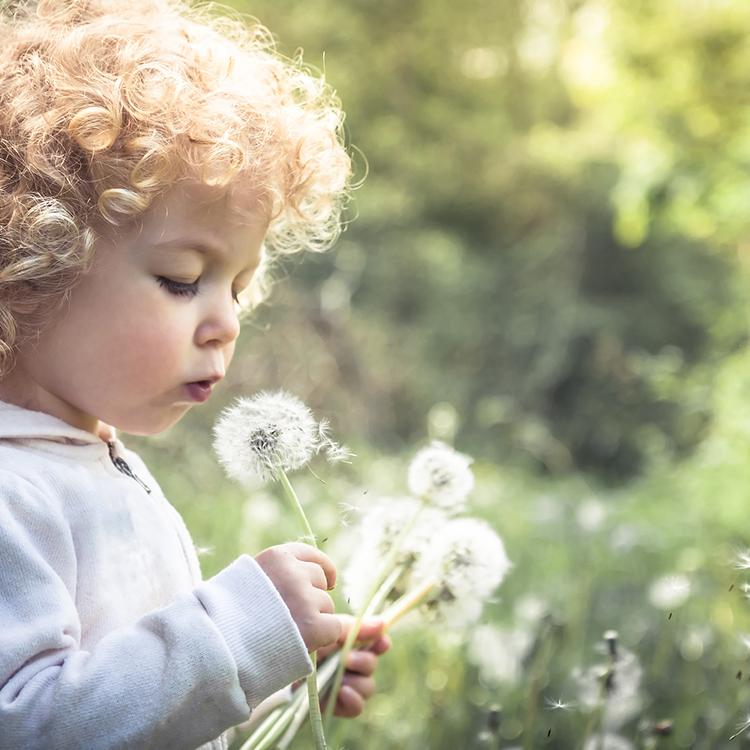 Fighting Pollen? Fight Smarter with These Pollen-Busting Tips